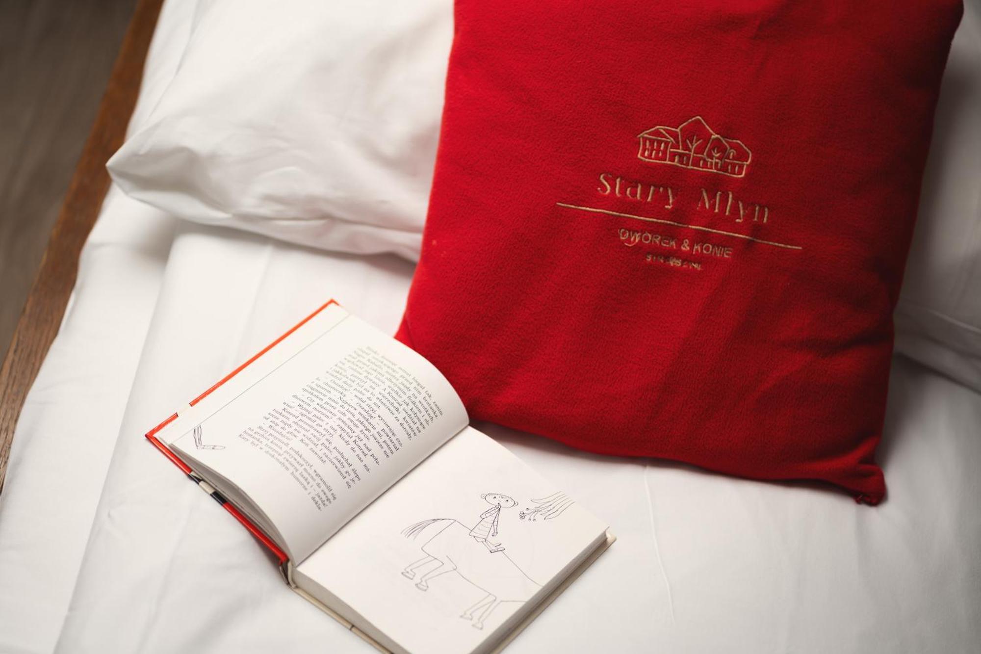 Stary Mlyn Strzeszyn Hotel Lubowo  Bagian luar foto