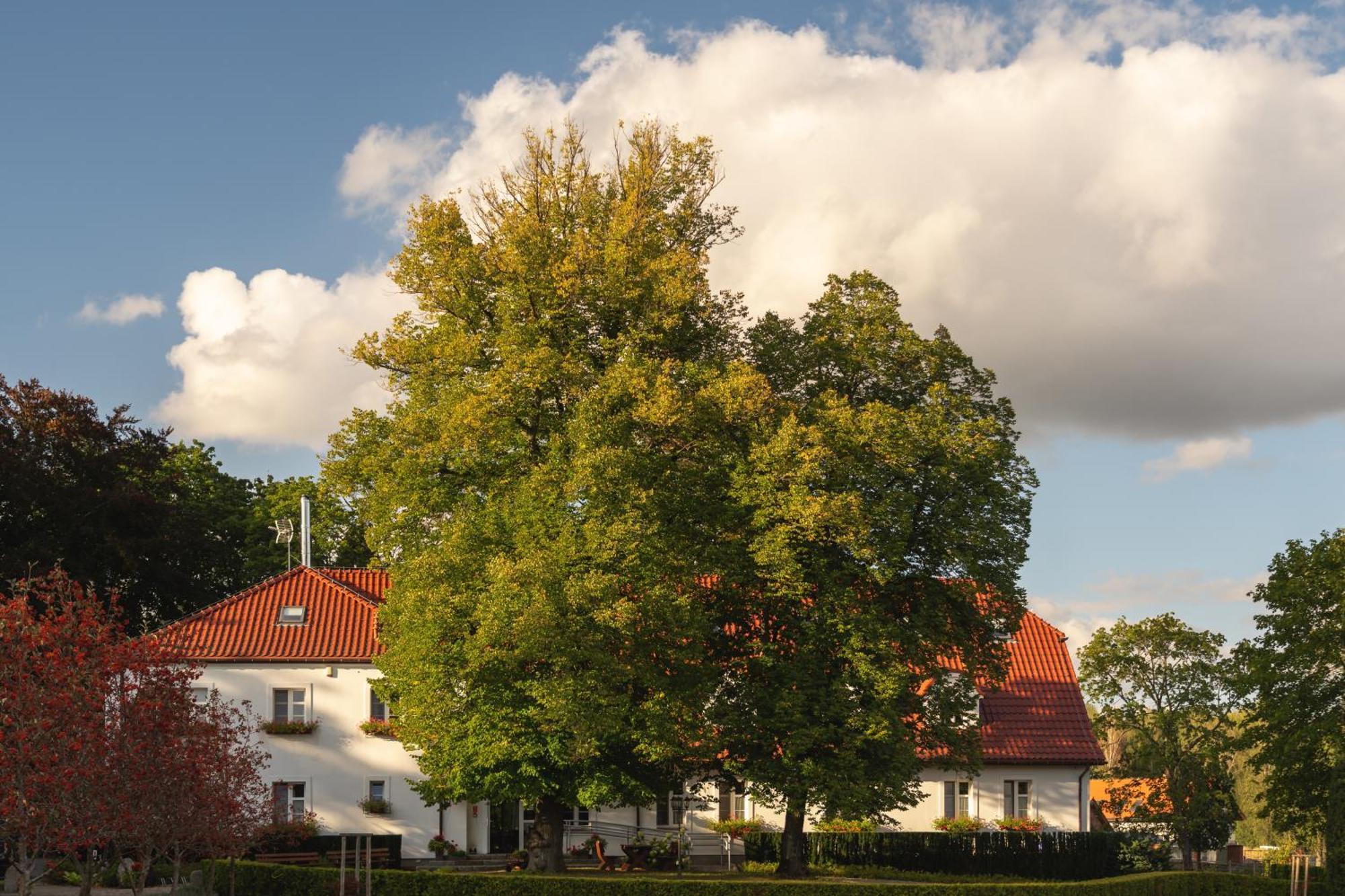 Stary Mlyn Strzeszyn Hotel Lubowo  Bagian luar foto